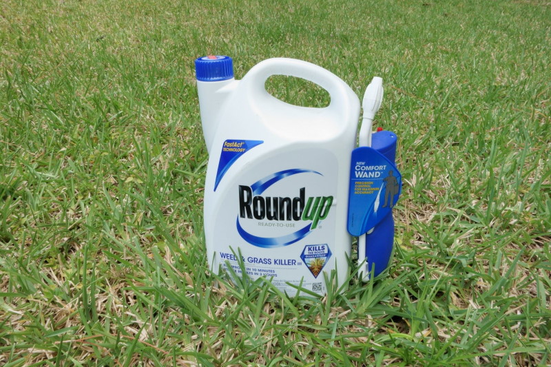 RoundUp Jug Containing Probable Cancer Causing Glyphosate