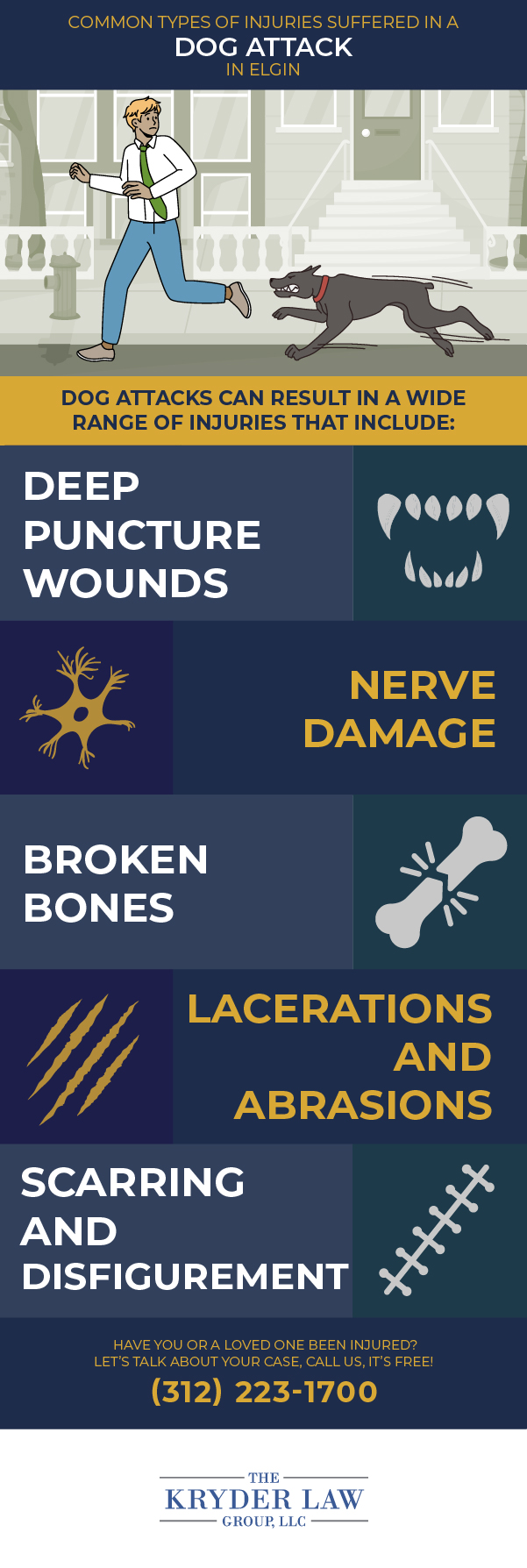 Tipos comunes de lesiones sufridas en un ataque de perro en Elgin Infografía