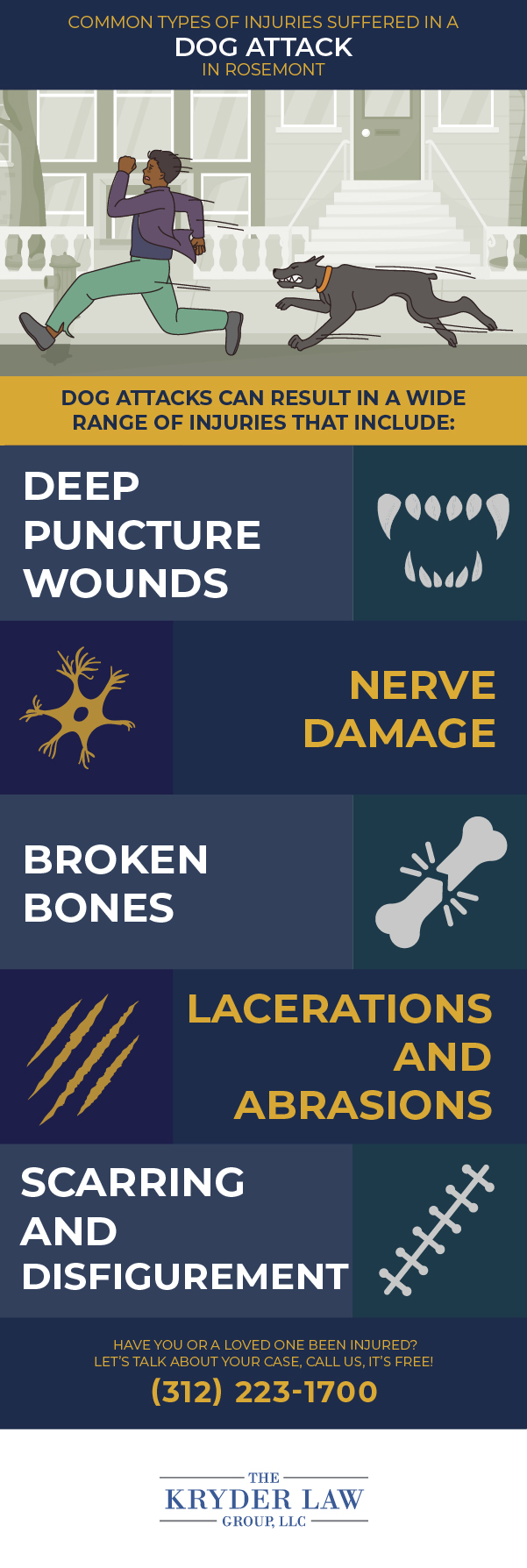 Common Types of Injuries Suffered in a Dog Attack in Rosemont Infographic