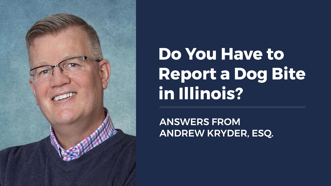 Do You Have to Report a Dog Bite in Illinois?