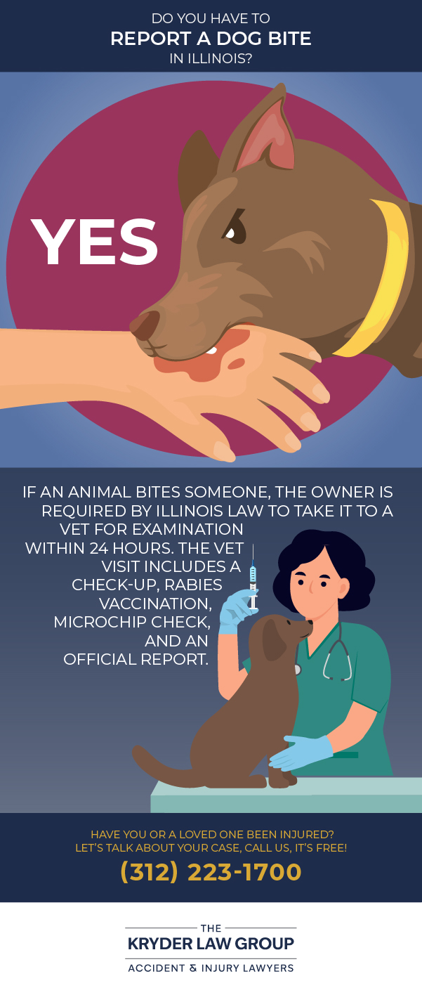 Do You Have to Report a Dog Bite in Illinois?