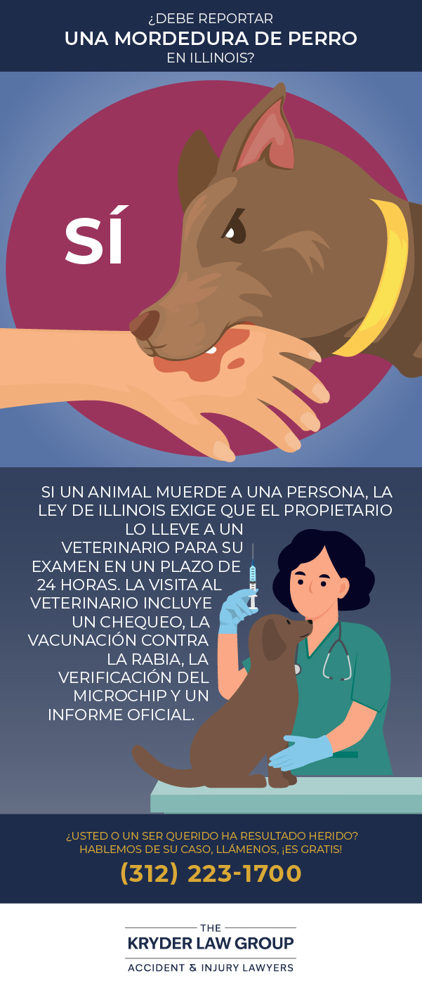¿Hay que denunciar las mordeduras de perro en Illinois?