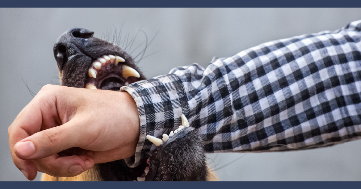 Columbus Dog Bite Lawyer