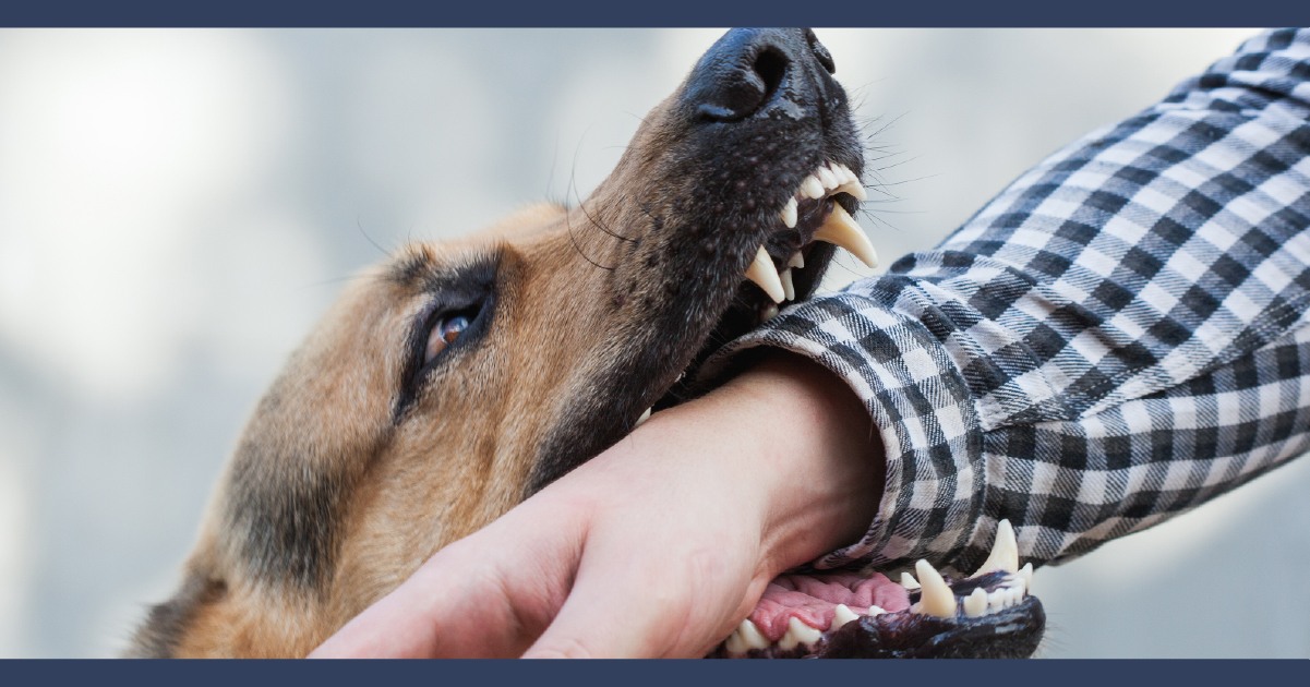 Grand Rapids Dog Bite Lawyer