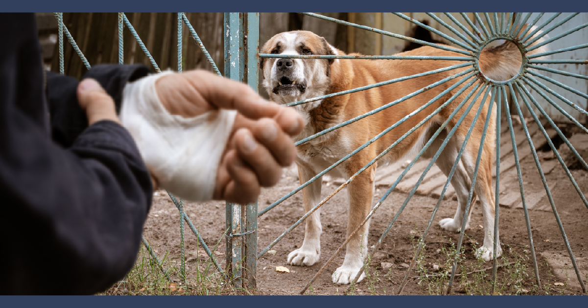 Indianapolis Dog Bite Lawyer