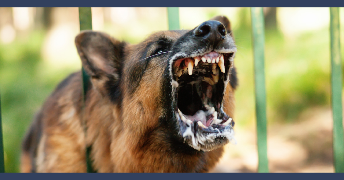 Des Moines Dog Bite Lawyer