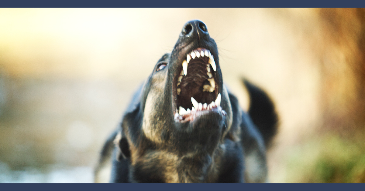 Lansing Dog Bite Lawyer