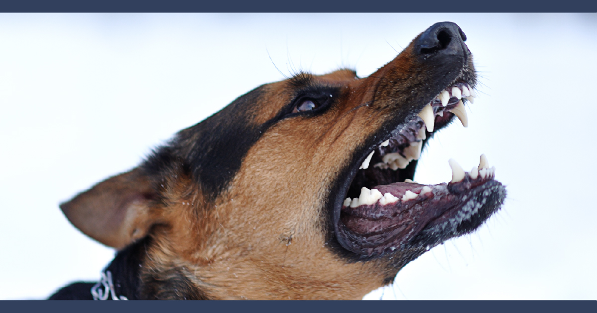 Milwaukee Dog Bite Lawyer