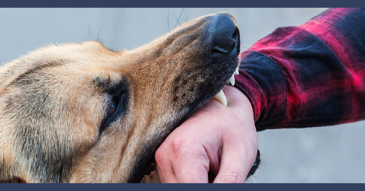 St. Louis Dog Bite Lawyer